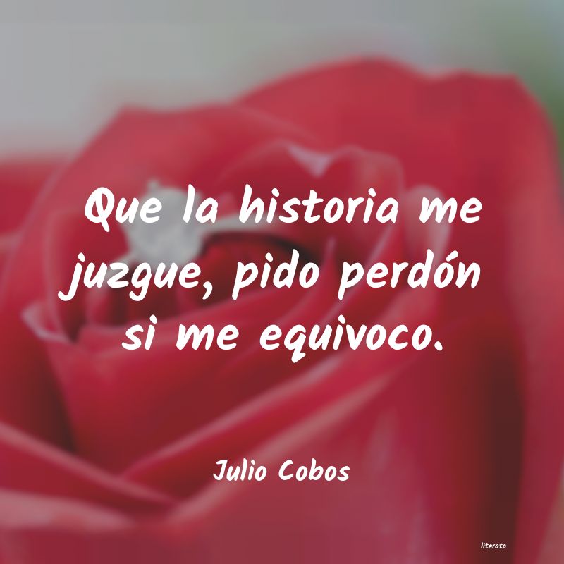 Frases de Julio Cobos