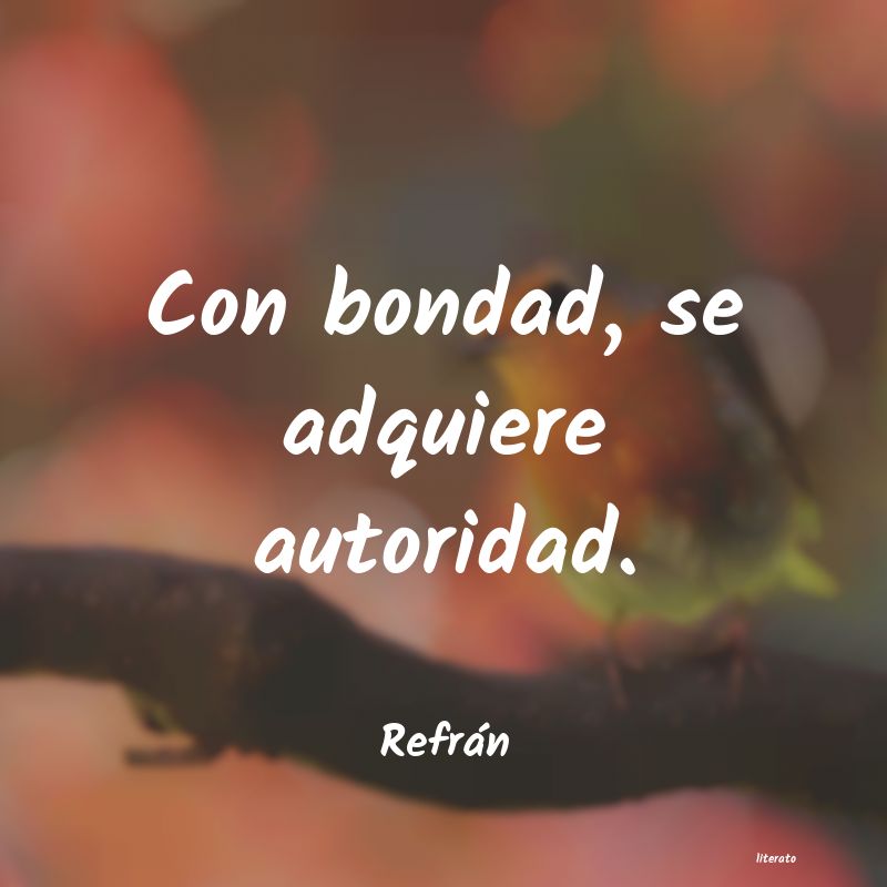 frases de Refrán