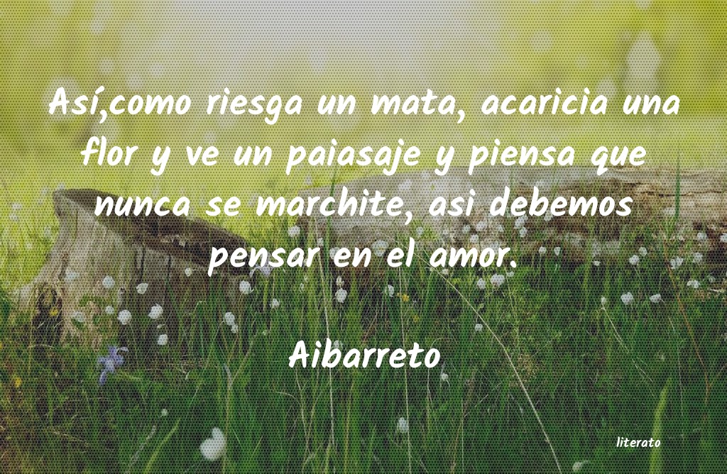 Frases de Aibarreto