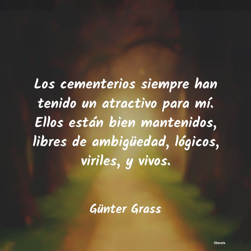 Frases de Günter Grass