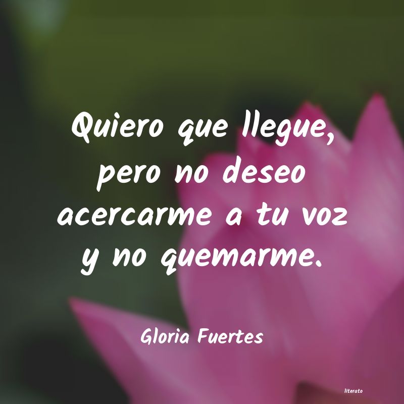 Frases de Gloria Fuertes