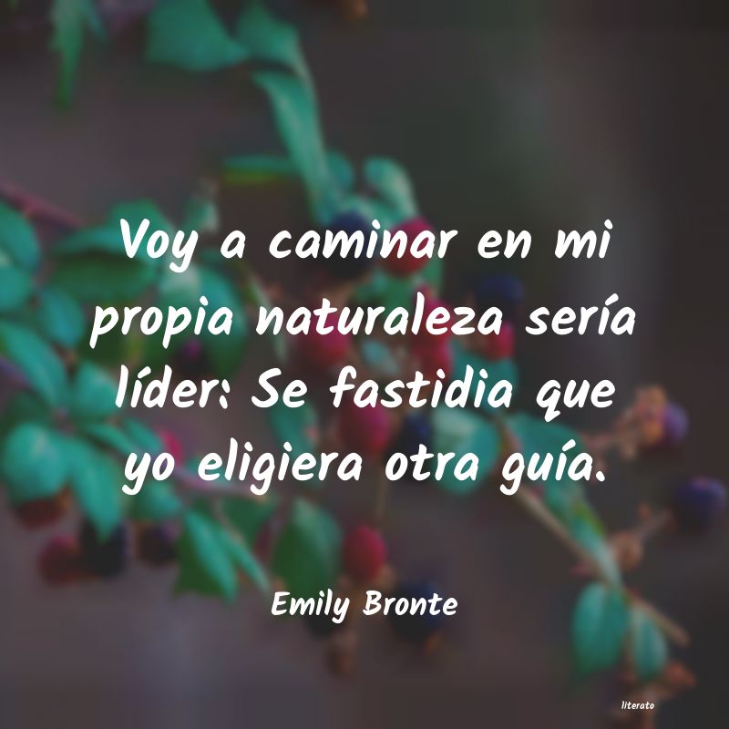 Frases de Emily Bronte