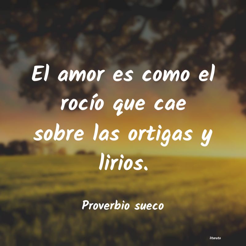 Frases de Proverbio sueco