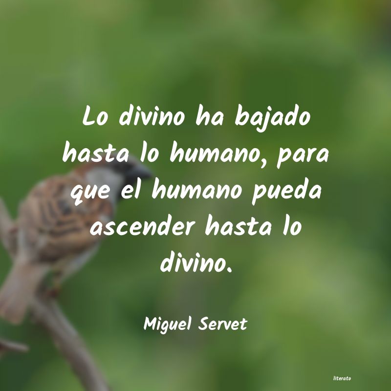 Frases de Miguel Servet