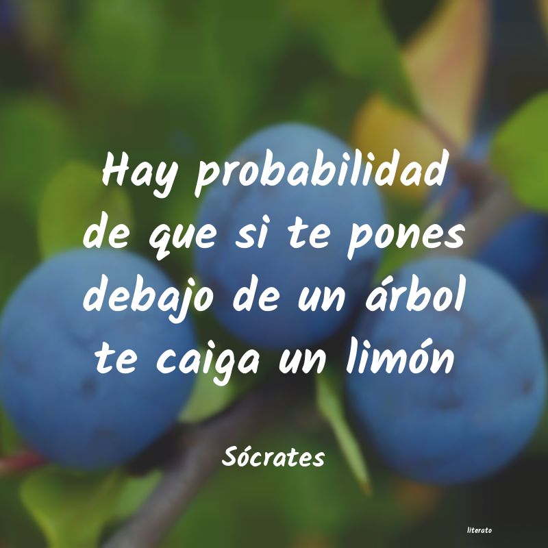 frases de Sócrates