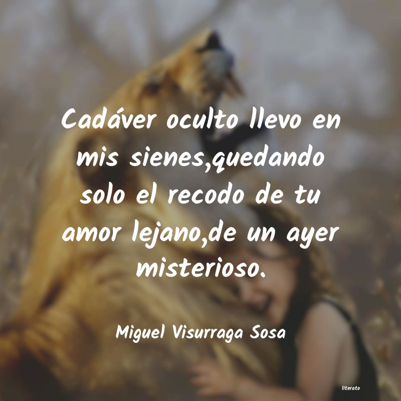 Frases de Miguel Visurraga Sosa