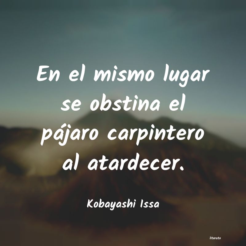 frases de Kobayashi Issa