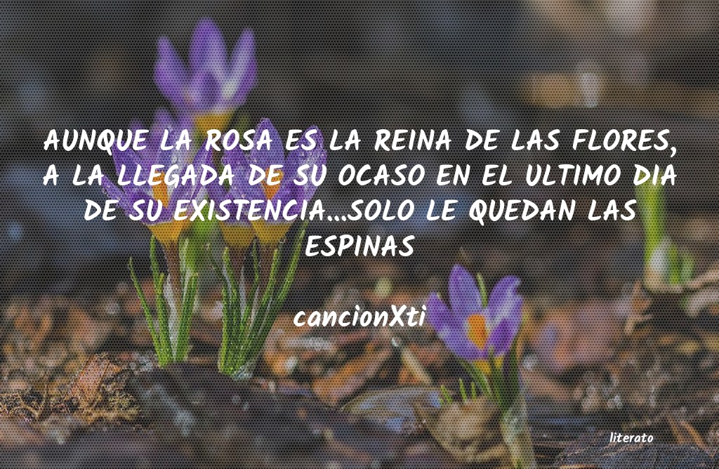 frases de cancionXti