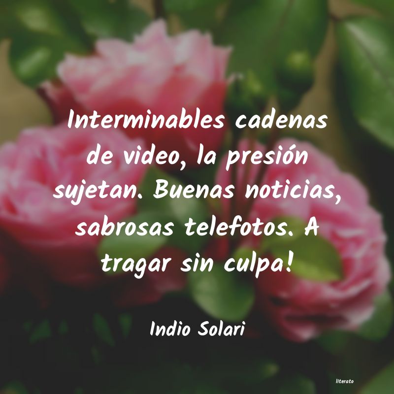 Frases de Indio Solari