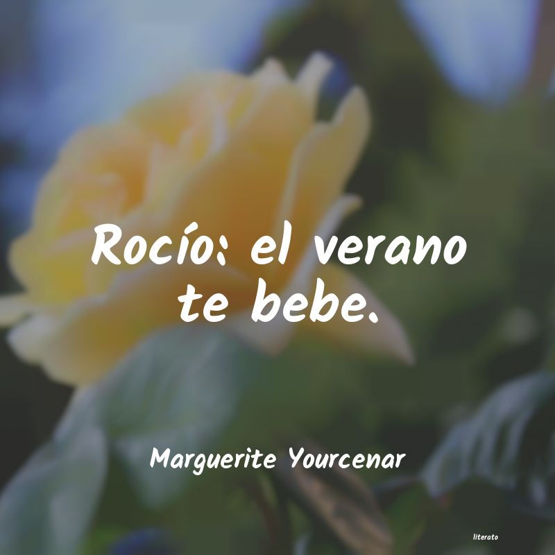 frases de Marguerite Yourcenar