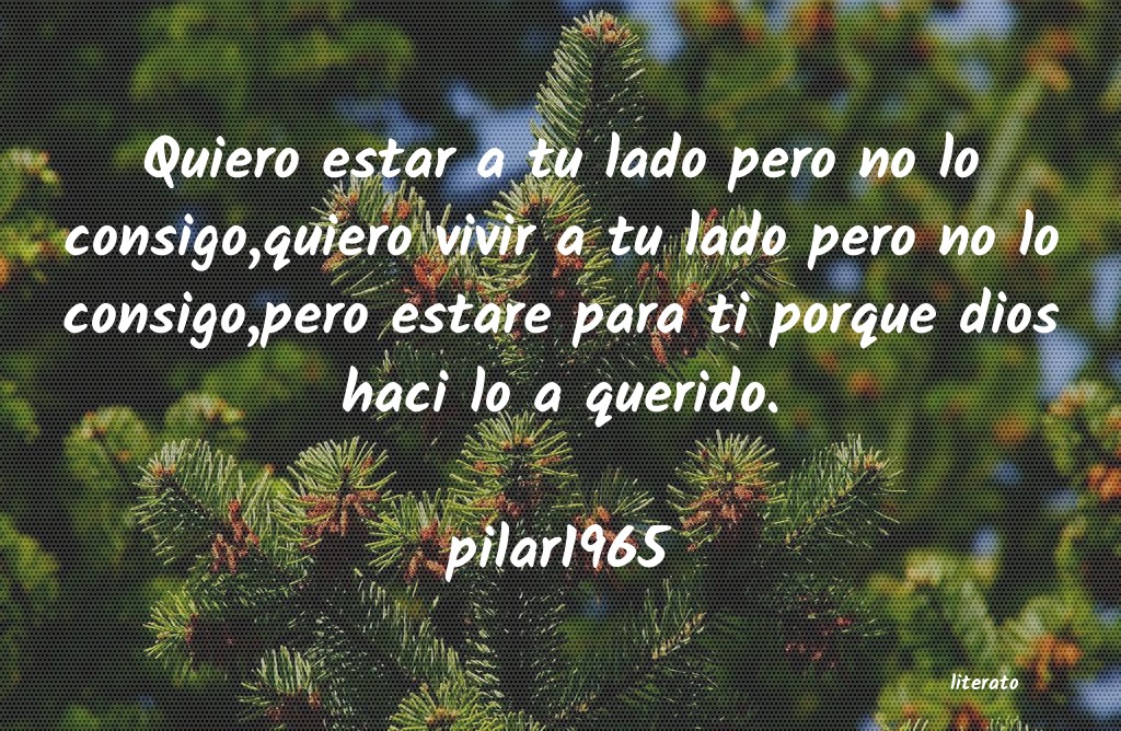 frases de pilar1965