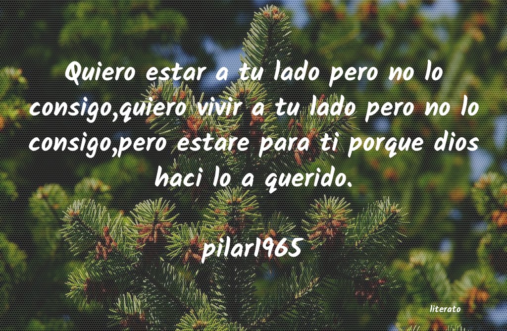 Frases de pilar1965