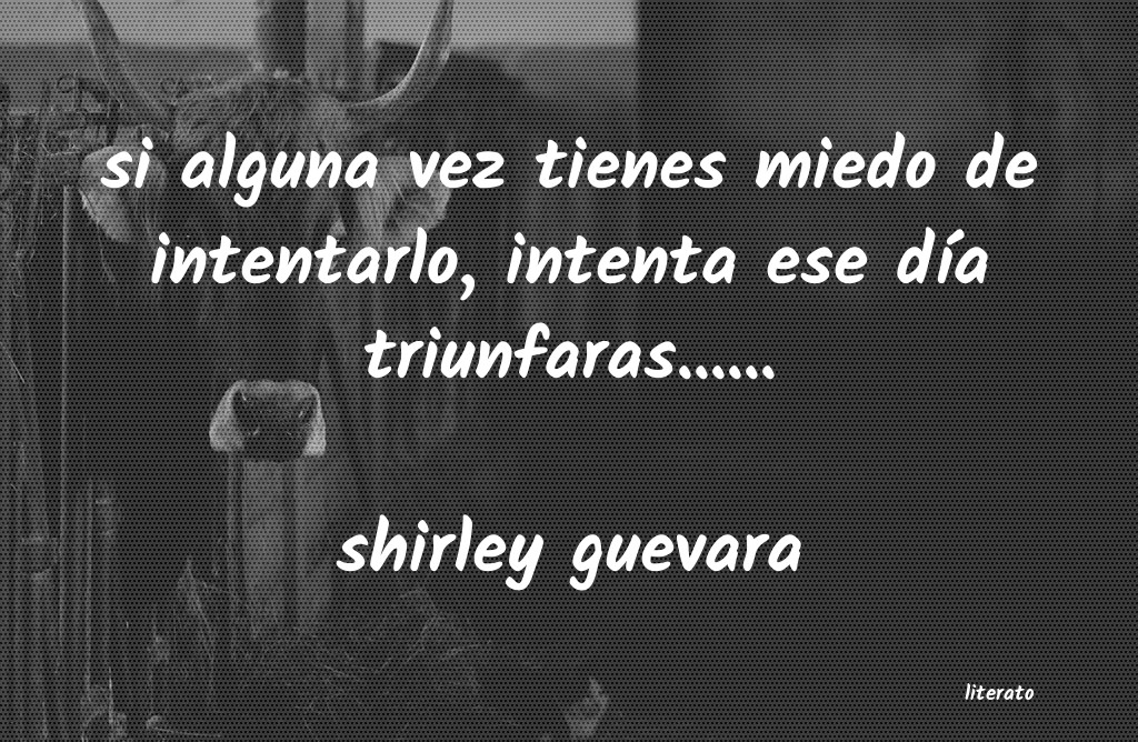 frases de shirley guevara