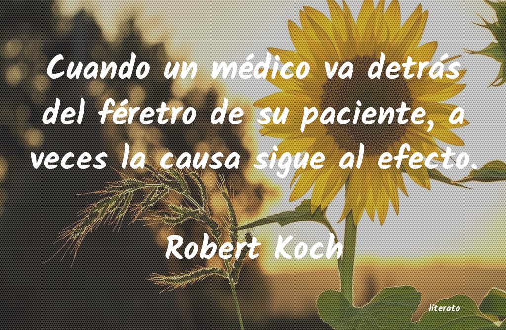 Frases de Robert Koch