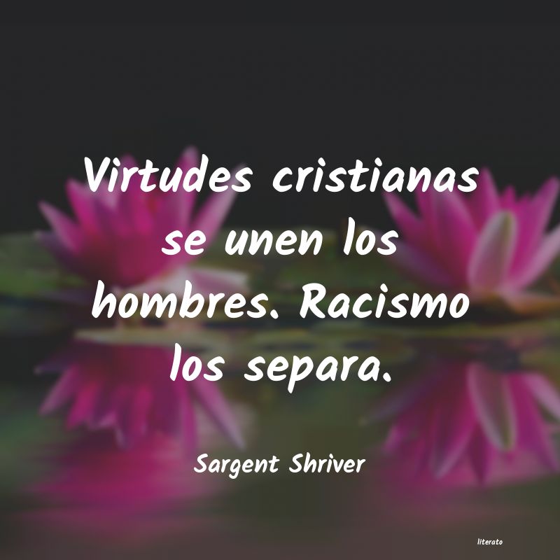 Frases de Sargent Shriver