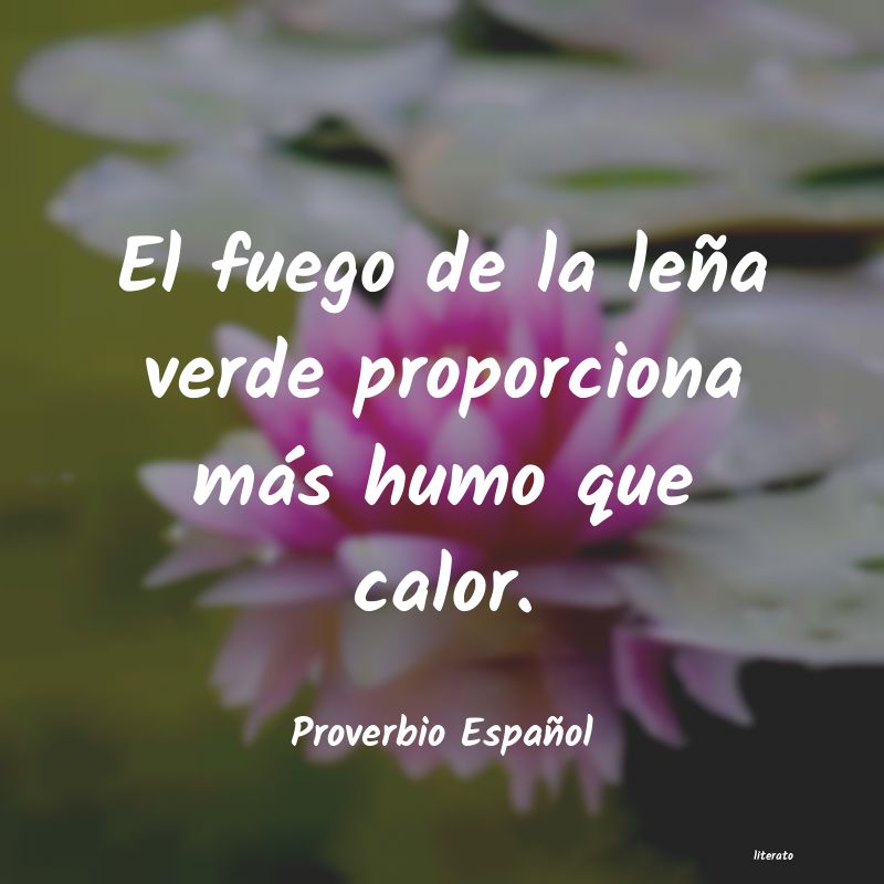 Frases de Proverbio Español