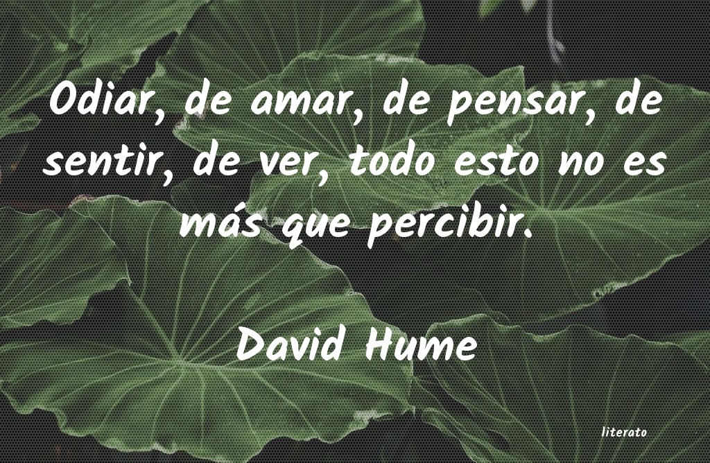 Frases de David Hume