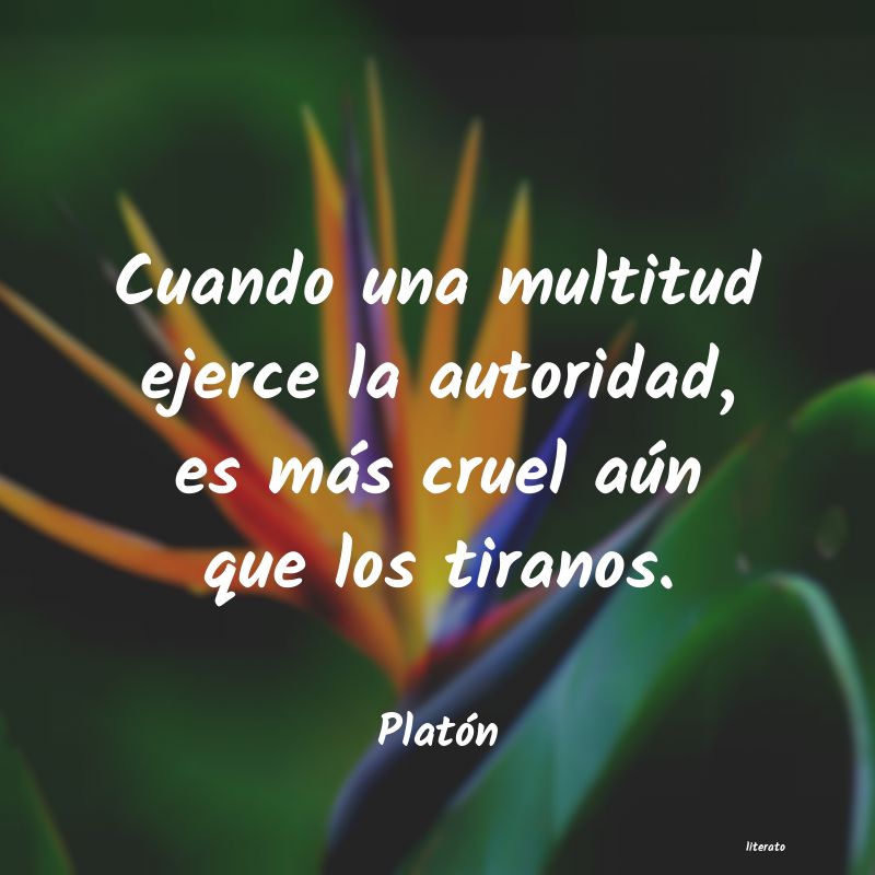 frases de PlatÃ³n