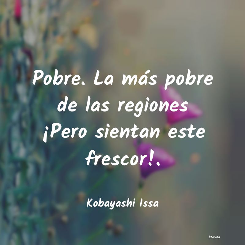 frases de Kobayashi Issa