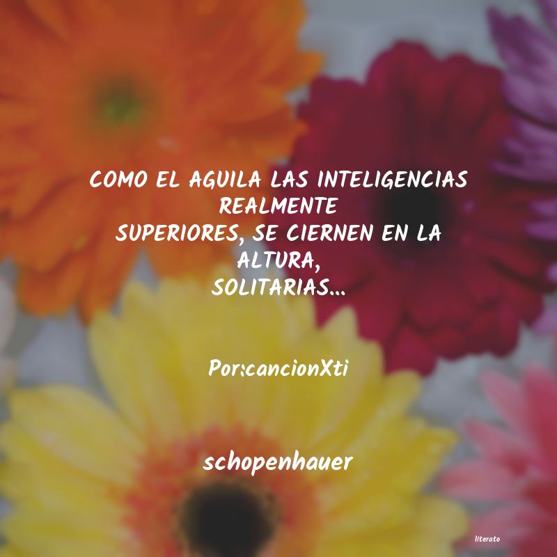 Frases de schopenhauer