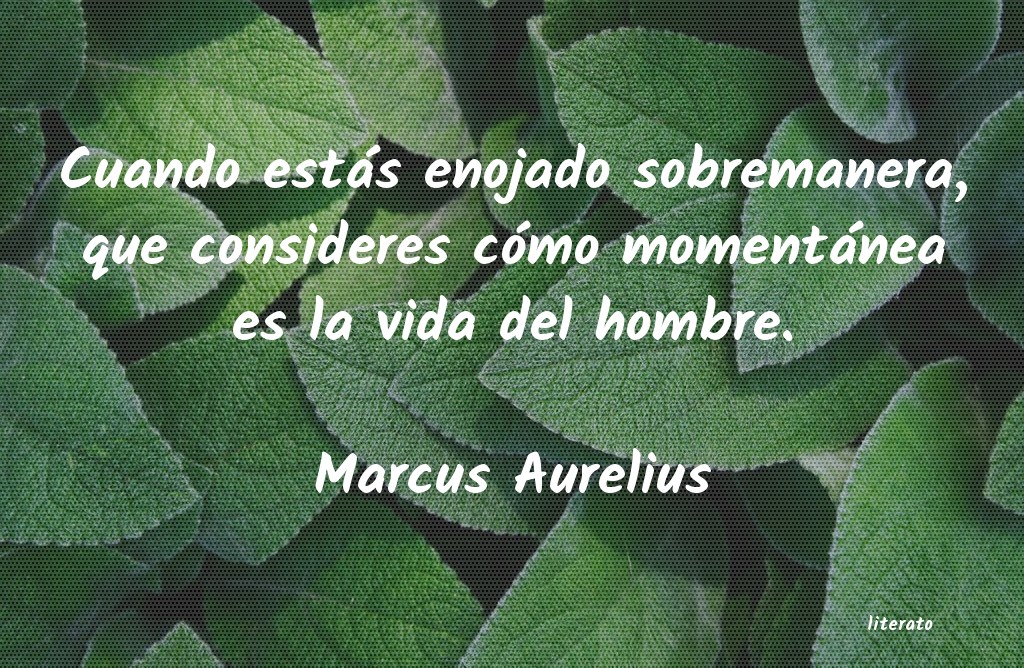 frases de Marcus Aurelius