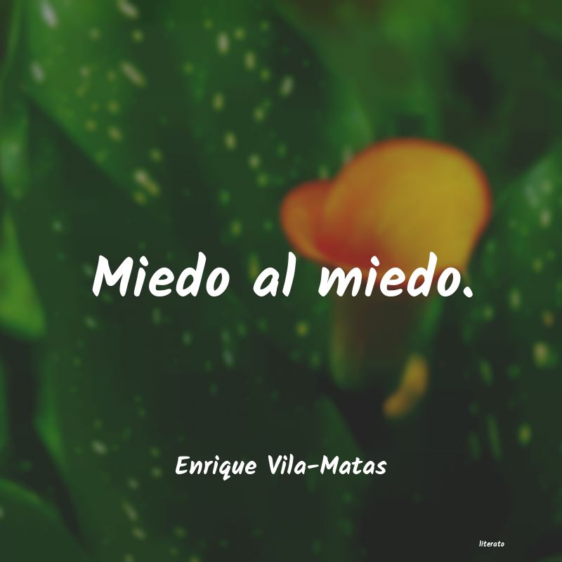 frases de Enrique Vila-Matas