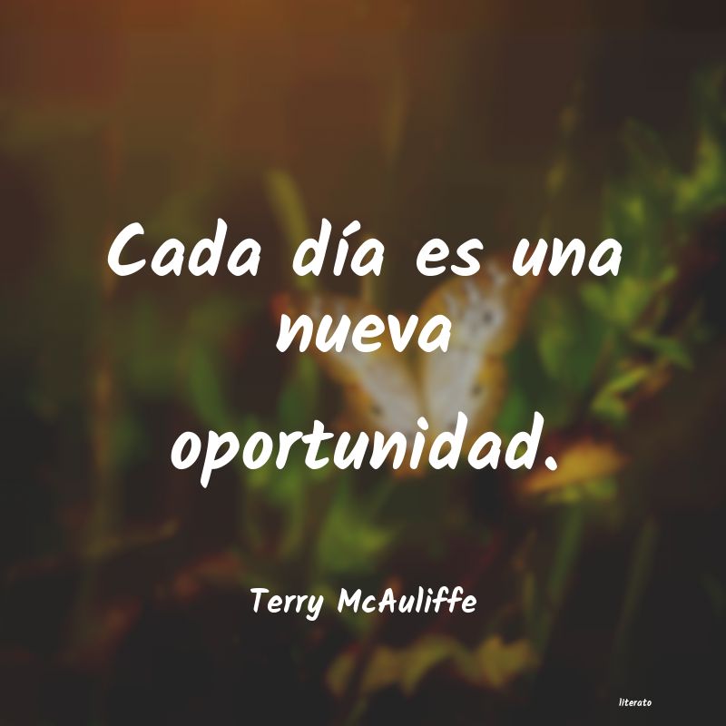 frases de Terry McAuliffe