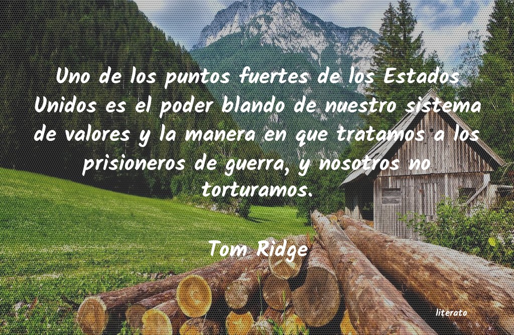 Frases de Tom Ridge