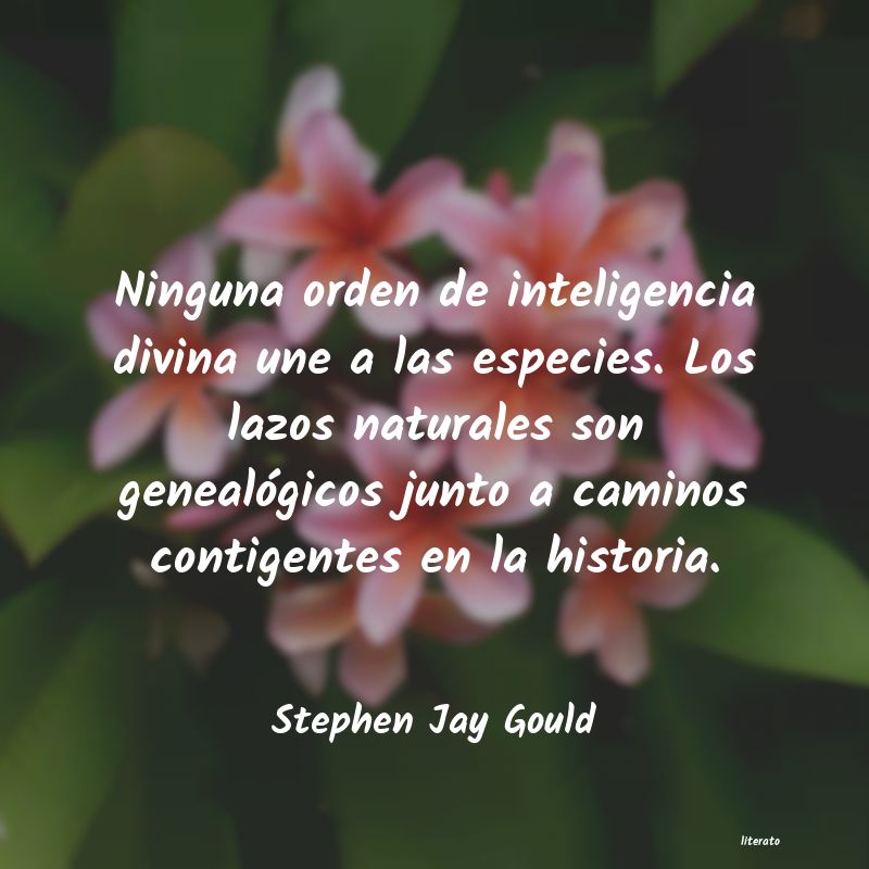 Frases de Stephen Jay Gould