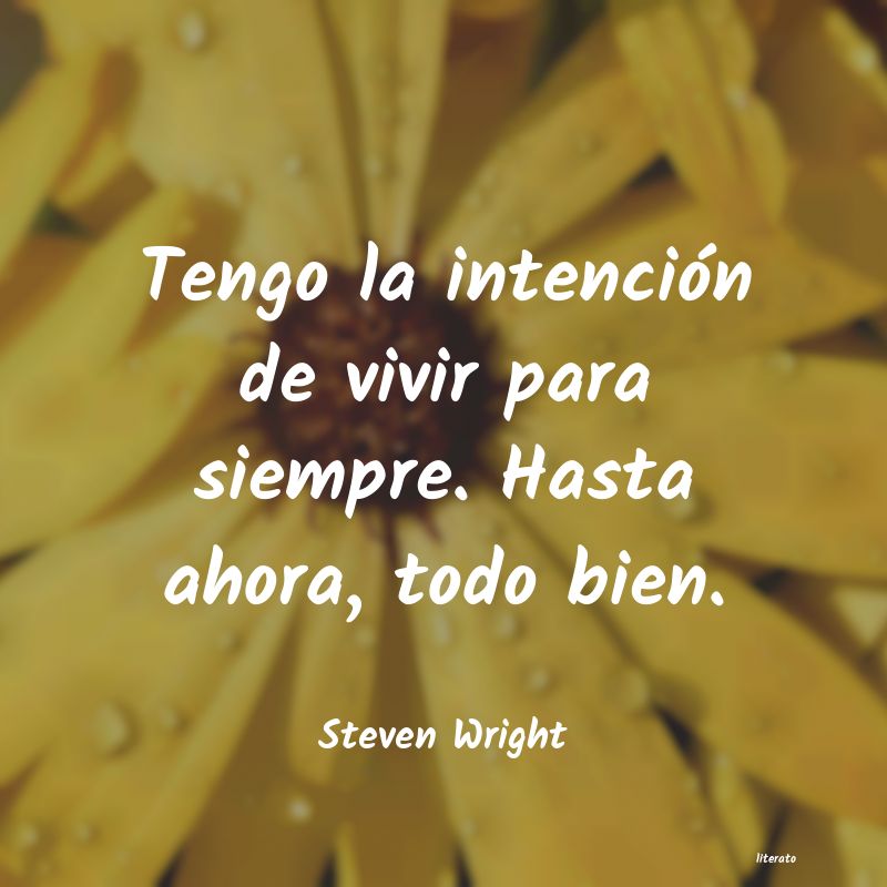 Frases de Steven Wright