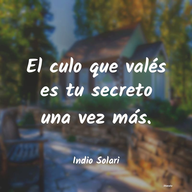 Frases de Indio Solari