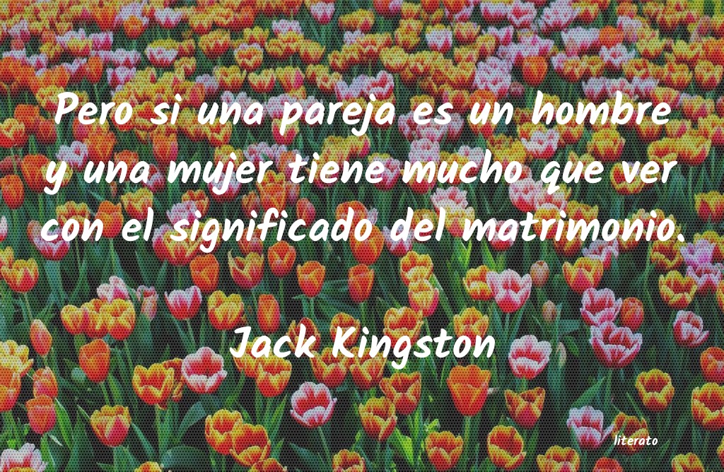 Frases de Jack Kingston