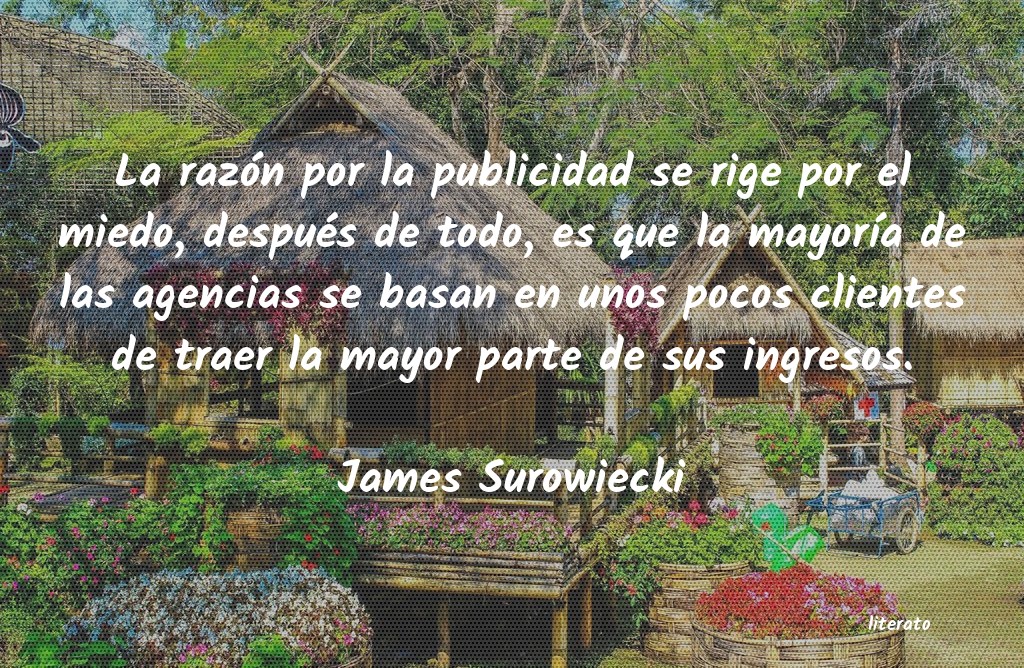 frases de James Surowiecki