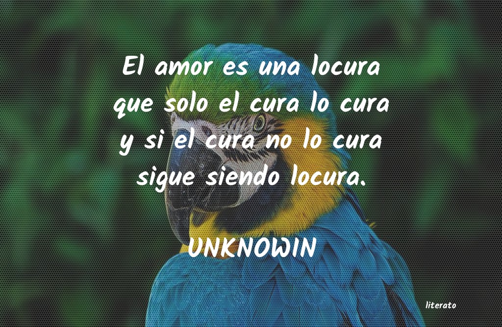 Frases de UNKNOWIN