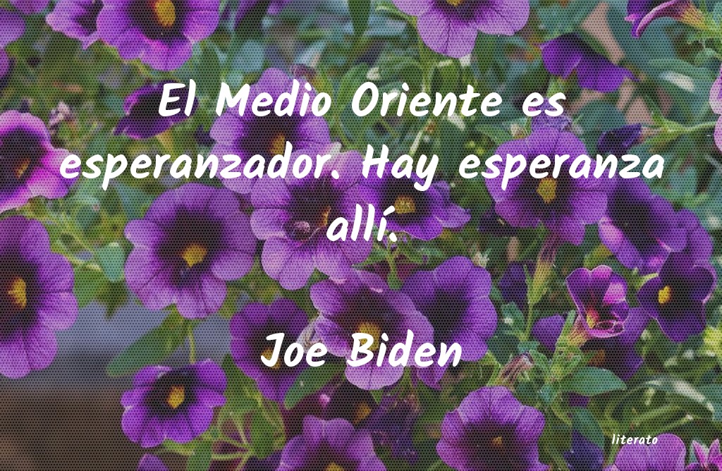frases de Joe Biden
