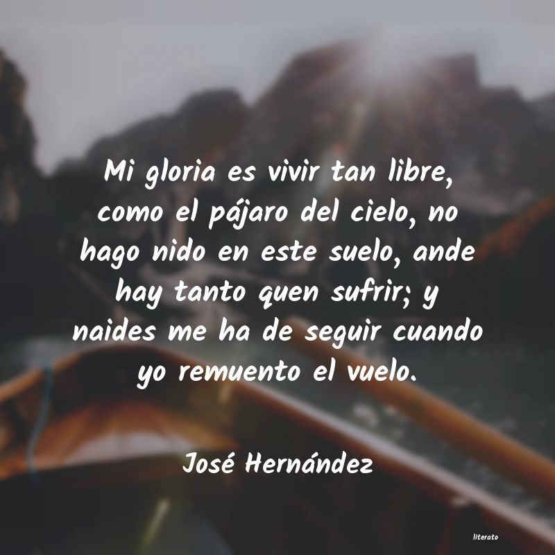 Frases de José Hernández