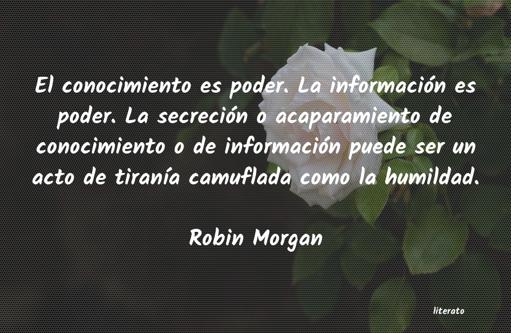 frases de Robin Morgan