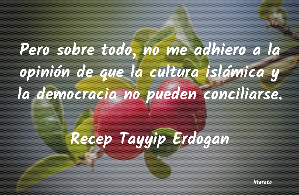 Frases de Recep Tayyip Erdogan