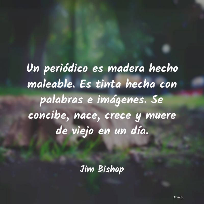 Frases de Jim Bishop