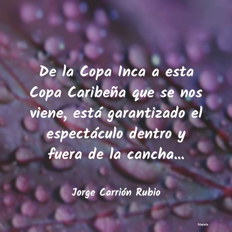 frases de Jorge Carrión Rubio