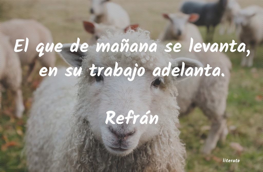 frases de Refrán