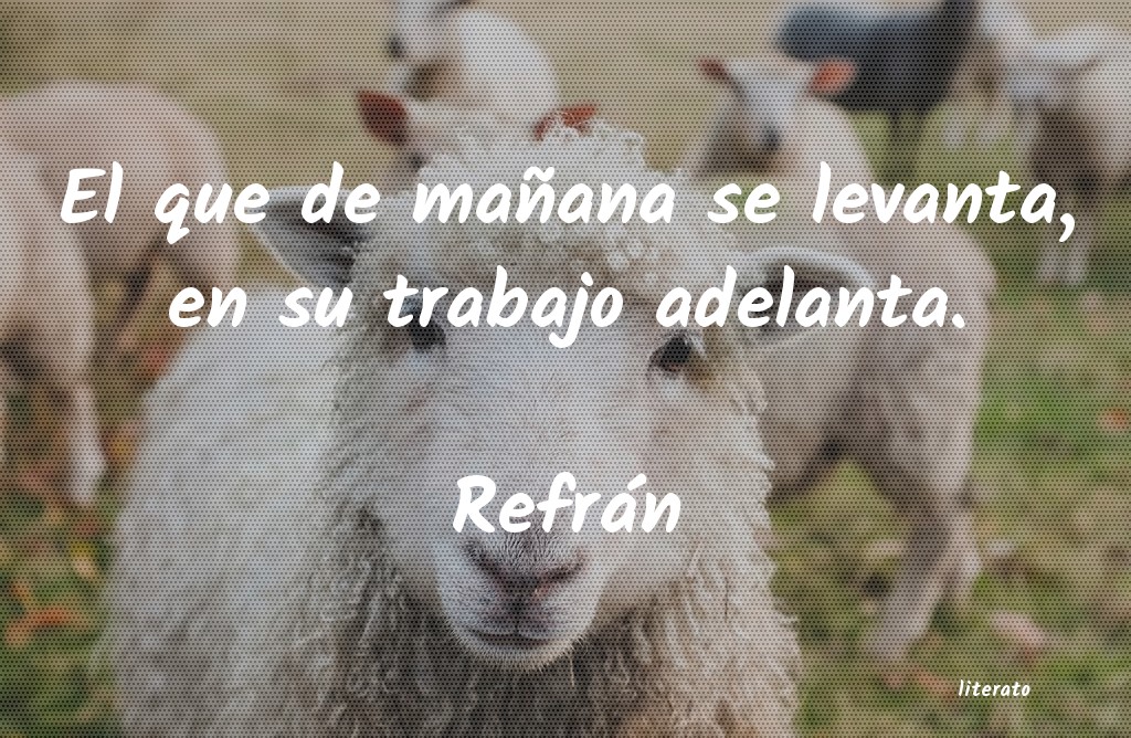 Frases de Refrán