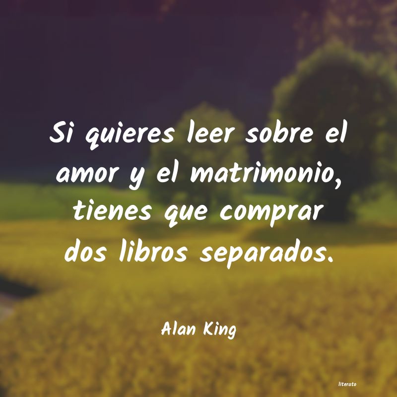 frases de Alan King