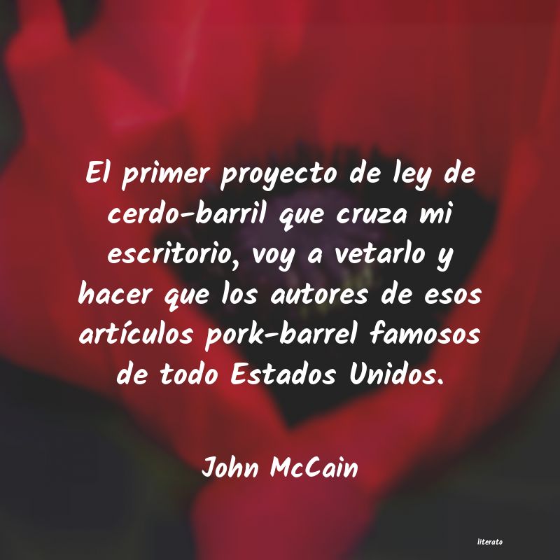 Frases de John McCain