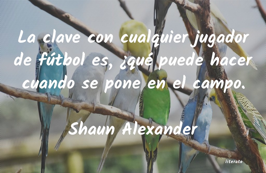 Frases de Shaun Alexander