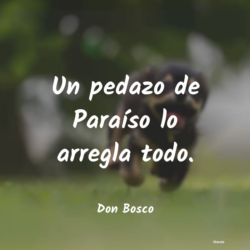 Frases de Don Bosco