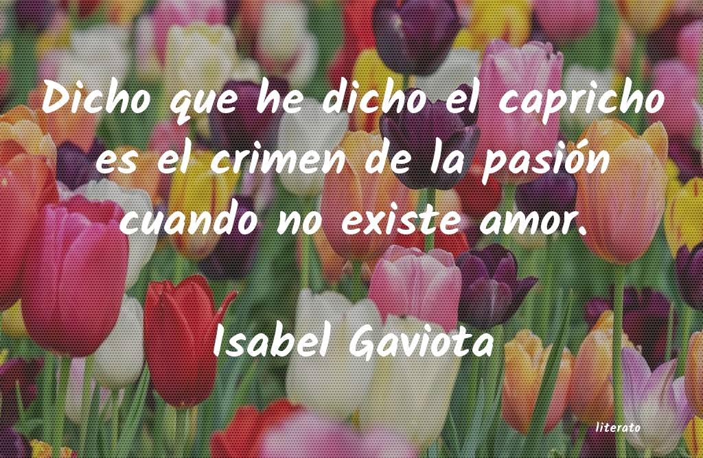 Frases de Isabel Gaviota