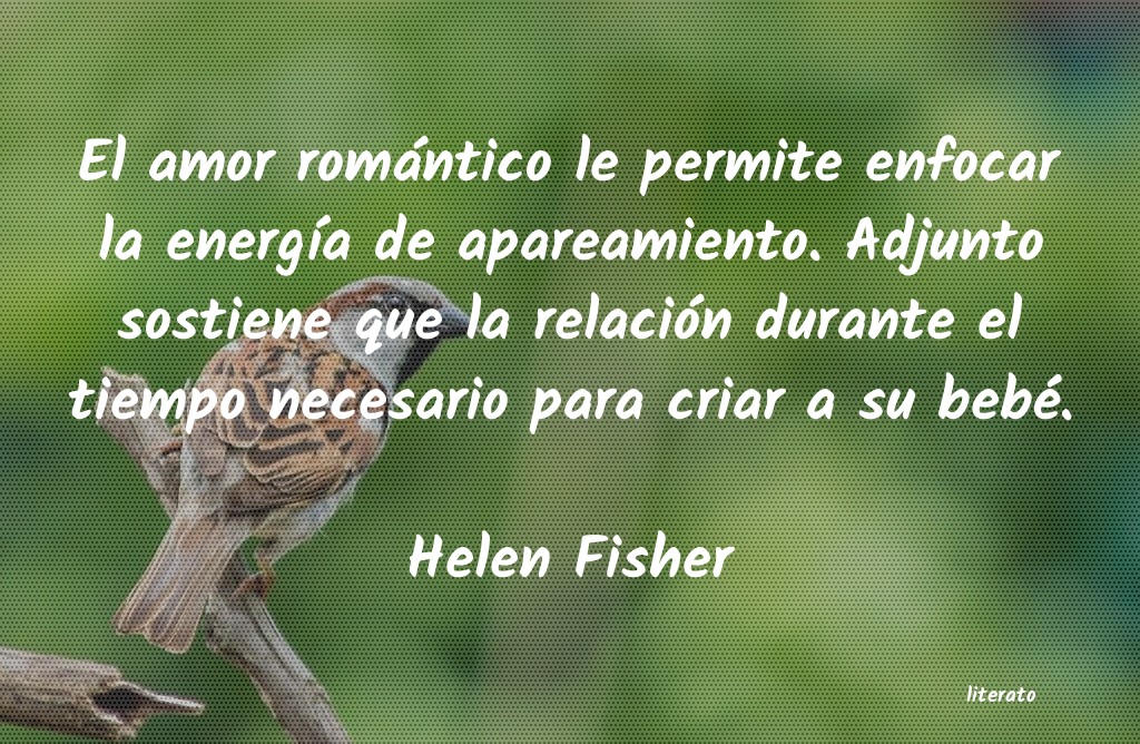 Frases de Helen Fisher