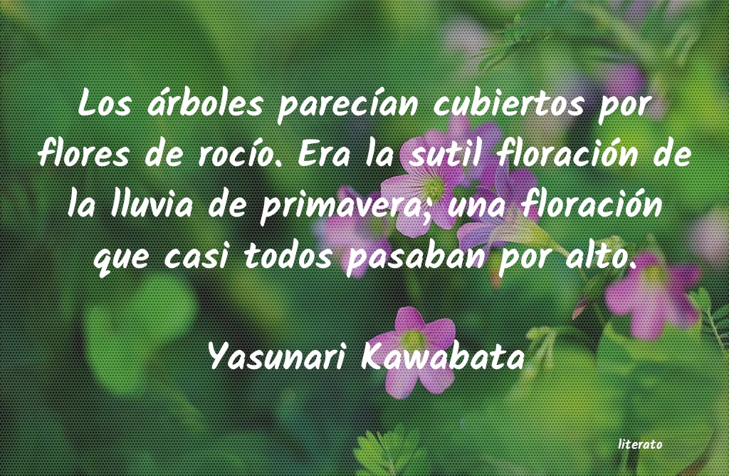 Frases de Yasunari Kawabata