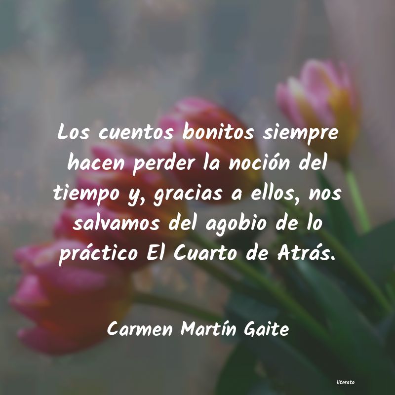 Frases de Carmen Martín Gaite